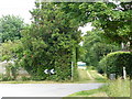 Bosham - Footpath