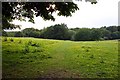 Footpath across Matthew Arnold Field