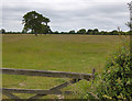 Field near Seaton Ross