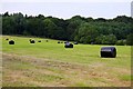 Bales of hay near Boars Hill