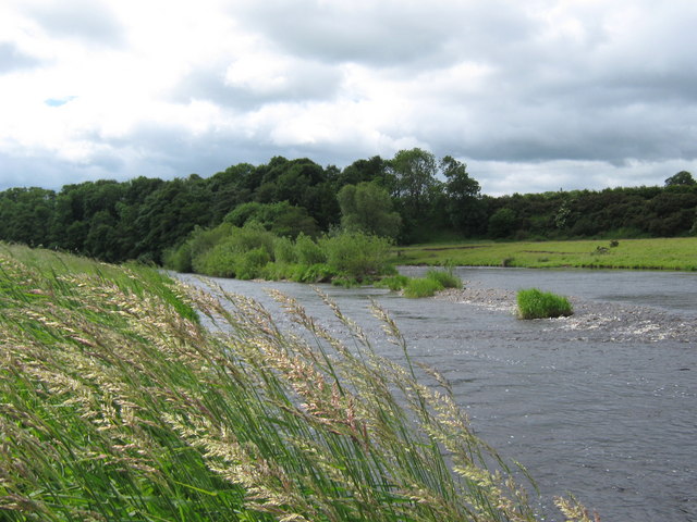 Developing eyot in the River Tees