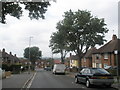 Looking down Boston Road