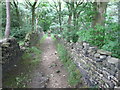 Footpath in Mag Wood