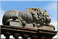 A lion on the Town Hall building in Lochmaben