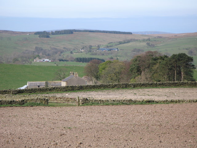 Farmland east of Sillywrea Farm
