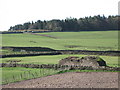 Farmland east of Sillywrea Farm