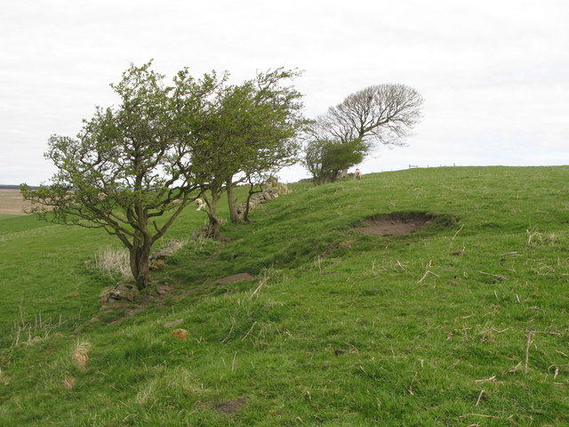 Carvoran (Magna) Roman Fort - west boundary (2)