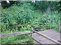 Pond, Railway Fields Nature Reserve