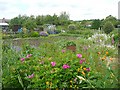 Allotments, Bottoms Lane, Birkenshaw