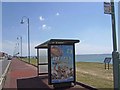 Bus shelter in Marine Parade West