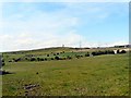 Towards Hartshead Pike