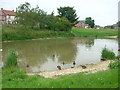 Duck Pond,  Fridaythorpe