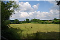 Field north of Teasley Mead, Blackham