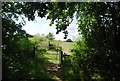 Gate on the Bridleway towards Tollhurst Farm