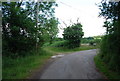 Bridleway & track diverge near Holywych House