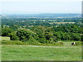 Pasture land, near Hare Lane