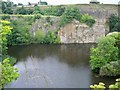 Harmby Quarry