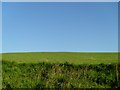 Kilbowie Hill from Hawthorn Street