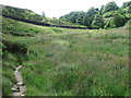 Footpath by Denholme Beck