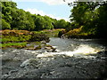 Afon Gwy / River Wye