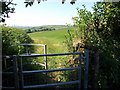 Kissing gate near Diptford