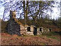 Ruined cottage - Gwern y Baedd