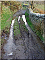 Bridleway near Graeanllyn