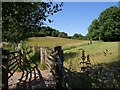 Path to Diptford