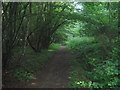 Bridleway in Kenneling Wood