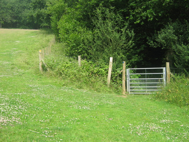 Footpath junction near Spuckles Wood © David Anstiss cc-by-sa/2.0 ...