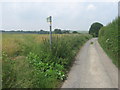 Footpath on Pettfield Road