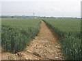 Footpath to Leaveland