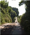 SX7156 : Lane to North Huish by Derek Harper