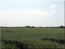 SO4944 : Fields Near Upper Lyde by Peter Whatley