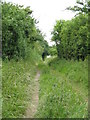 Footpath To Marden