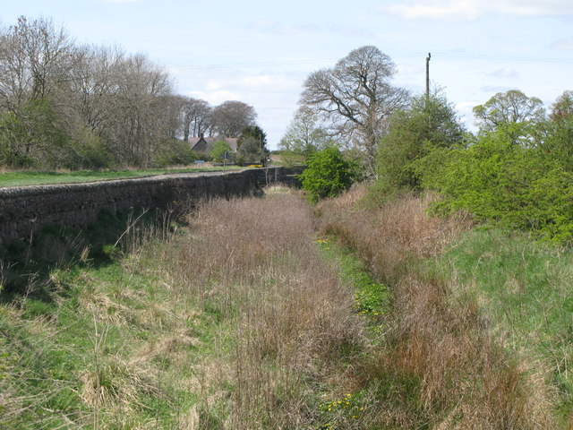 The north defensive ditch of Hadrian's Wall east of Halton Shields (2)