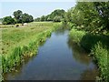 River Avon, Britford