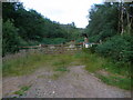 Start of a forest track near to Stronafian, Glendaruel.