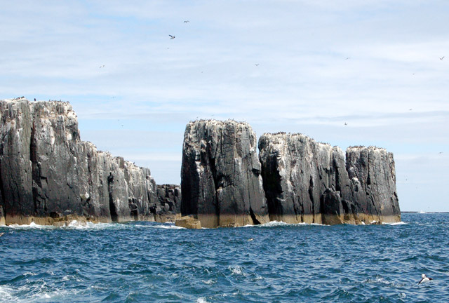 Approaching Staple Island's sea stacks