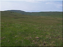 NG2141 : Moorland towards Gearraidh nan Gamhainn by Richard Dorrell