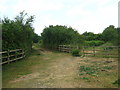 Footpath and Bridleway in Sharp