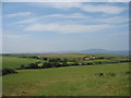 View SW across the countryside south of Melin Drylliau mill