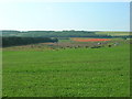 Farmland South of the A64