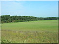 Farmland North of the A64