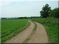 Farm track East of Phoenix House Farm