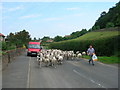 Rural Street Scene, Ruston