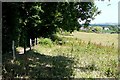 Rough pasture west of Freshwater