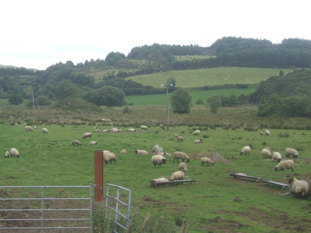 Grazing land in the valley bottom
