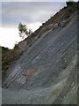 SJ6409 : Ripple marks in the Wrekin Quartzite by Richard Law