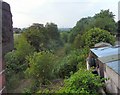 Abandoned Railway Track